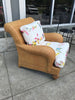 Rattan Outdoor Chair W/ Multicolor Bird Cushion