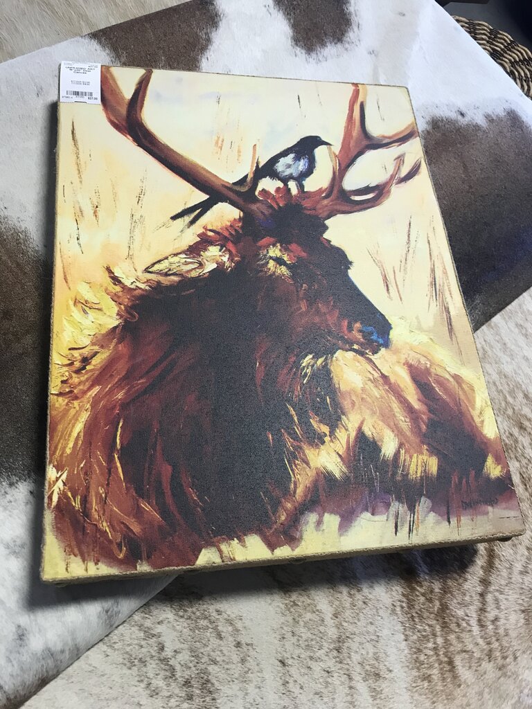 16"x20" Deer Canvas