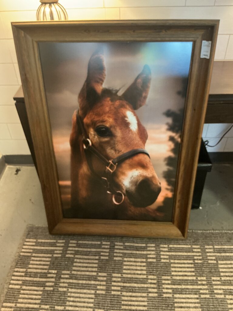 Lg Framed Horse Art